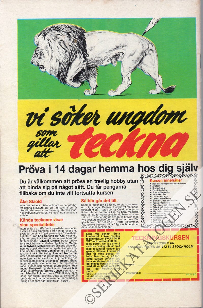 Baksida (1980)