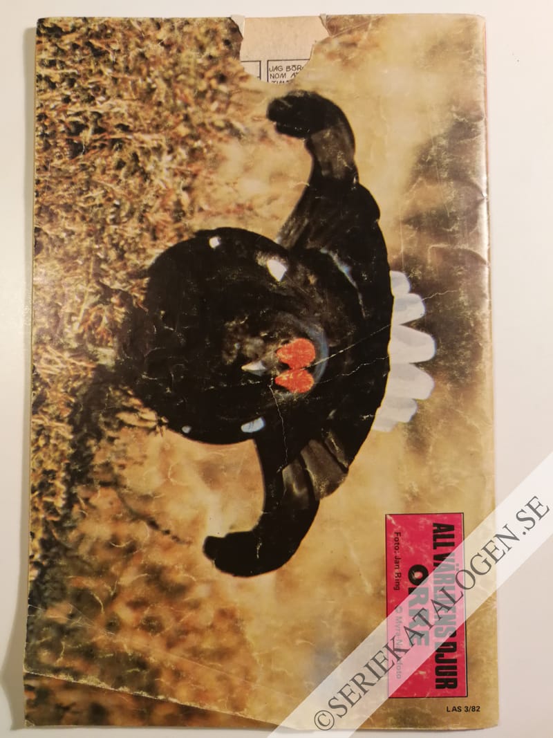 Baksida (1982)