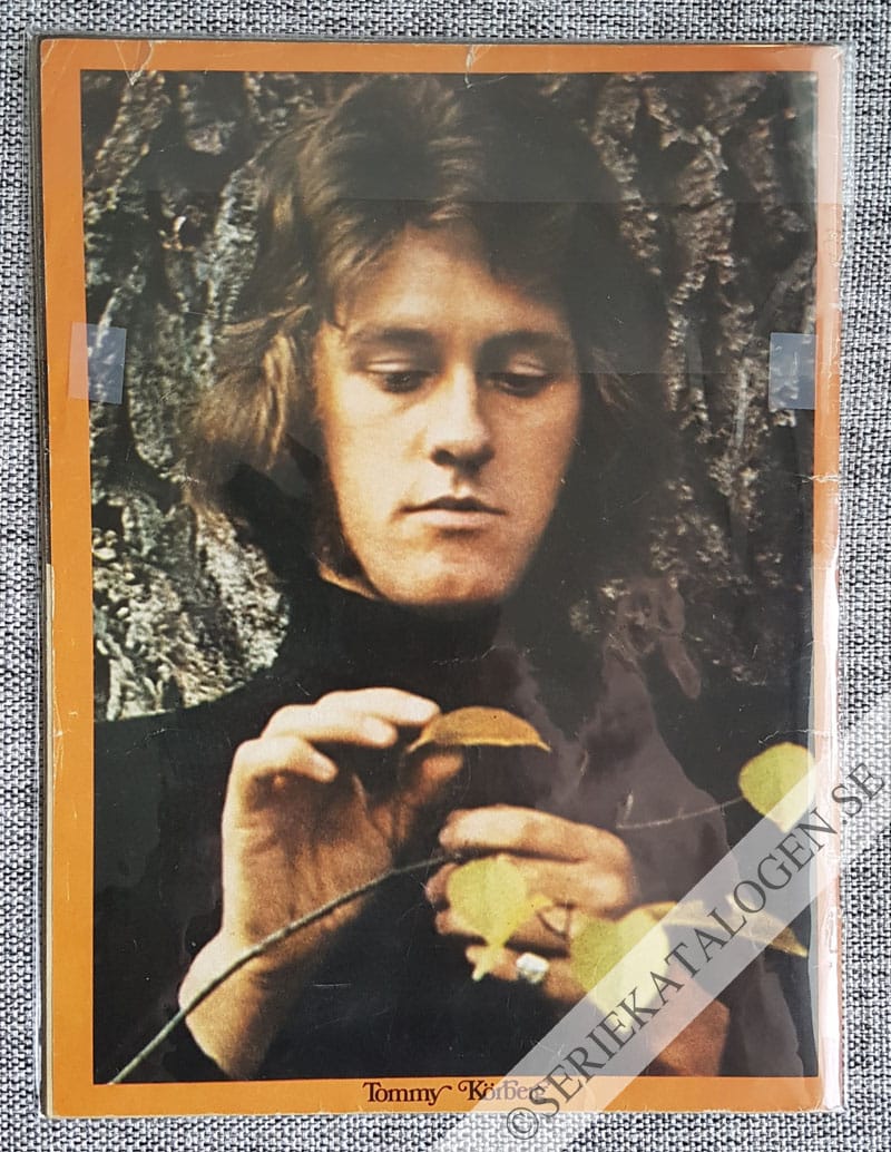 Baksida (1971)