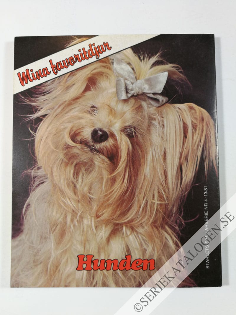 Baksida (1981)