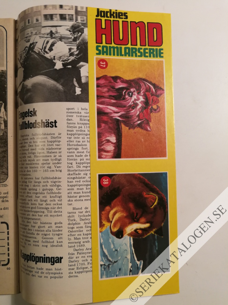 Bild (1972)