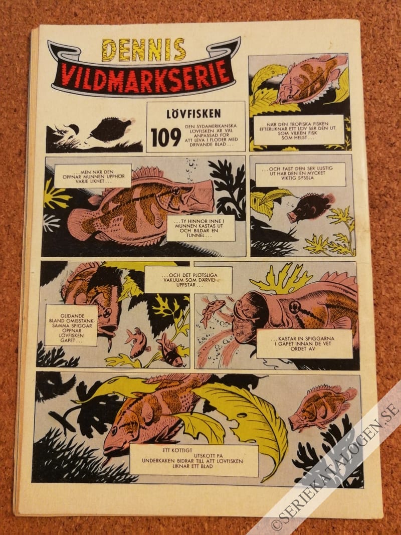 Baksida (1963)