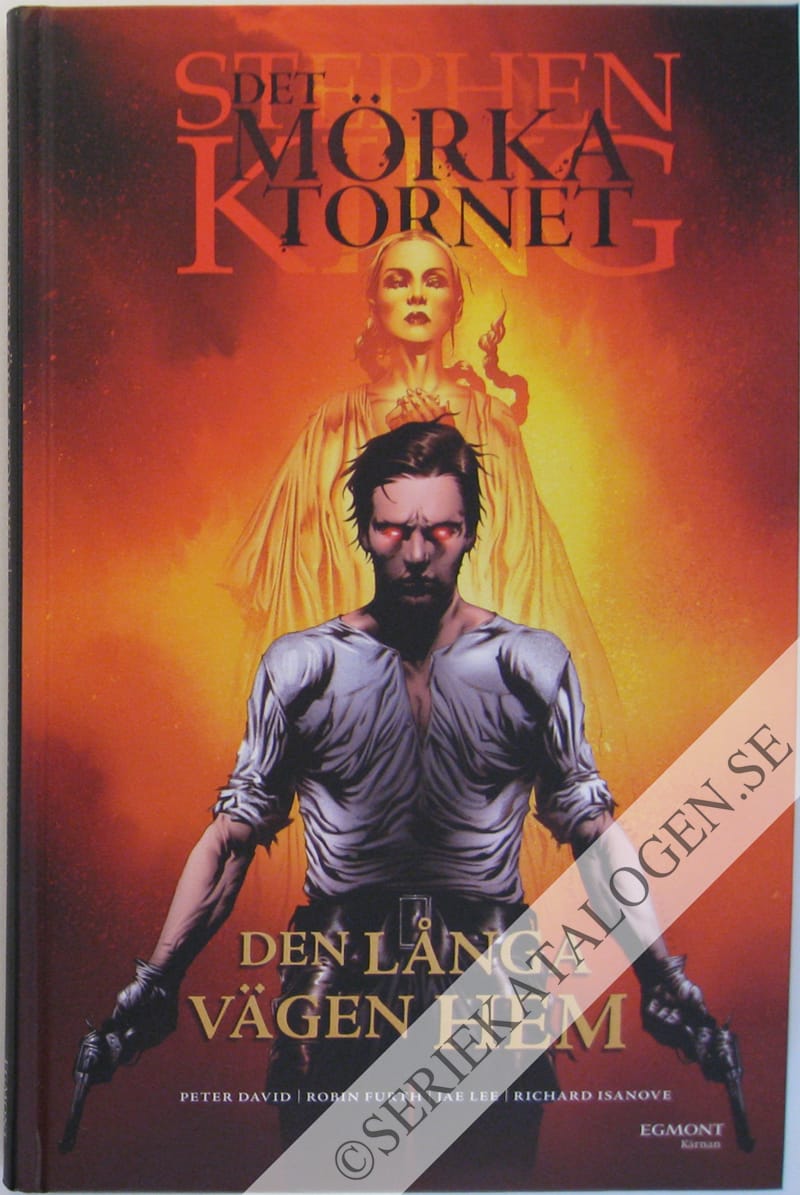 Framsida på Det mörka tornet Den långa vägen hem (2009)