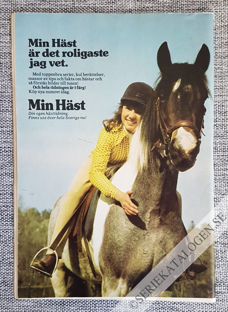 Baksida (1973)