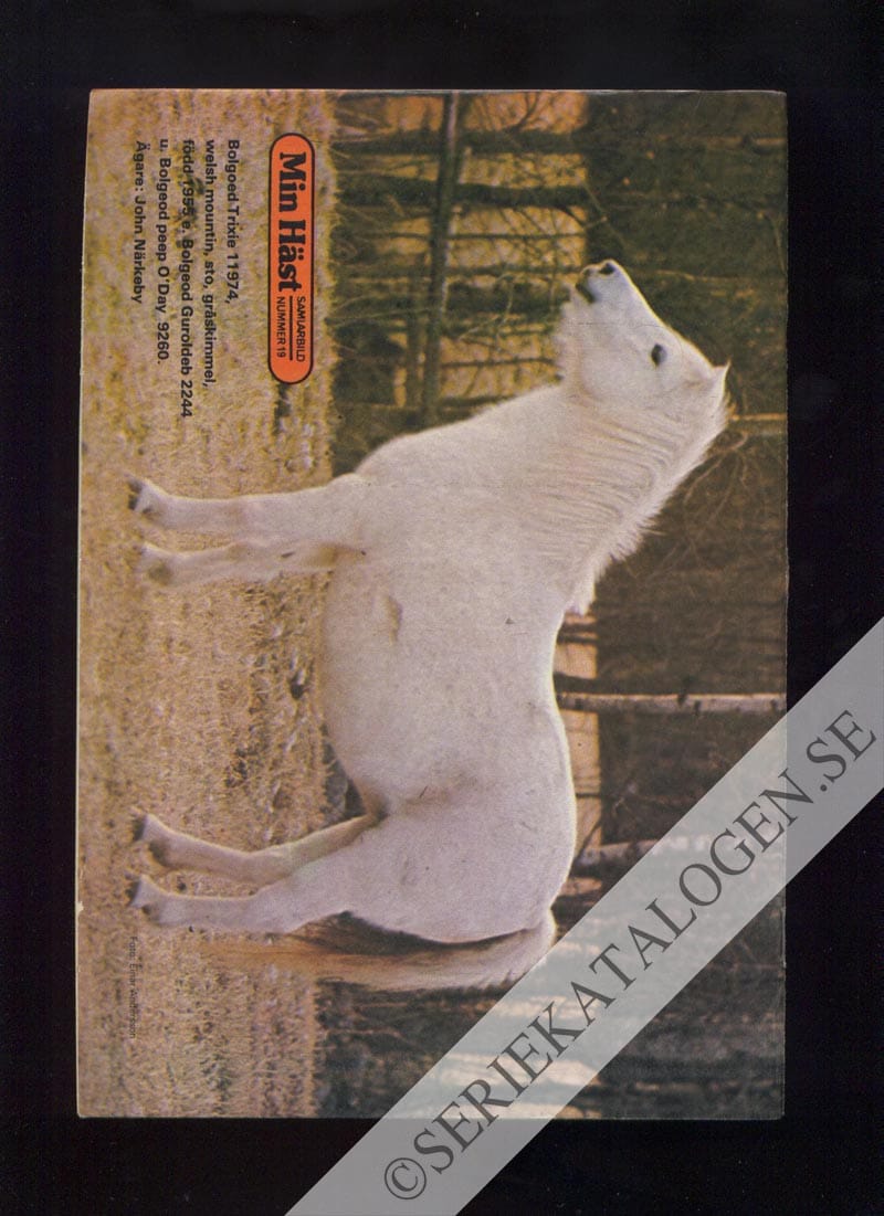 Baksida (1974)