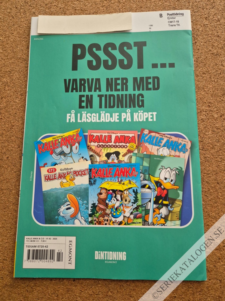 Baksida på Högt spel i höglandsspelen! (2025)