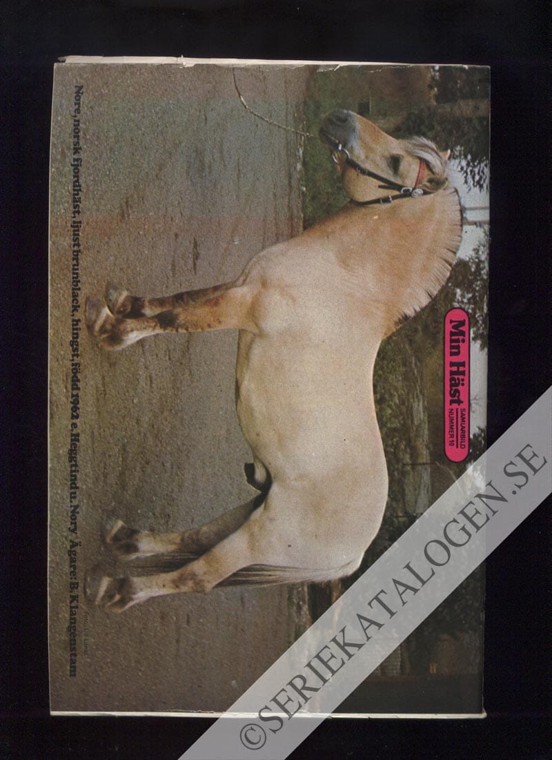 Baksida (1974)