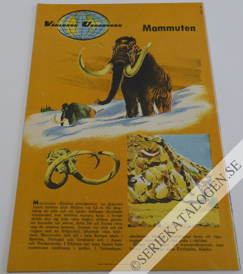 Baksida (1958)