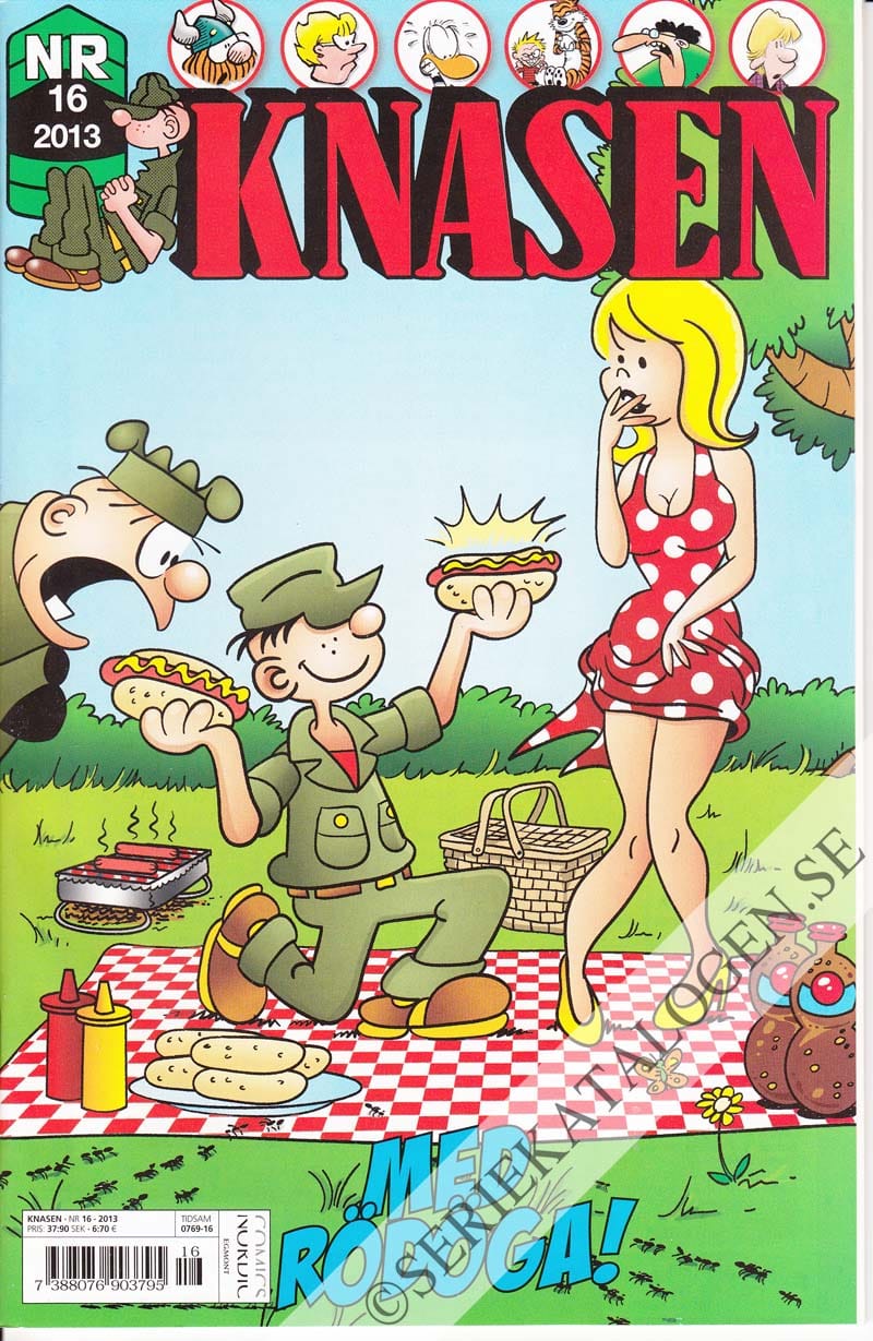 Framsida på Knasen #16 (2013)