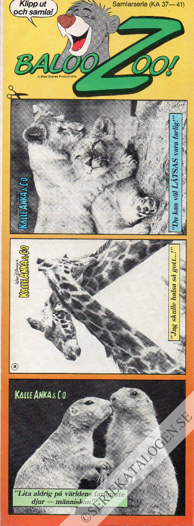 Bild (1985)
