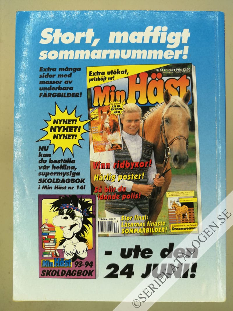 Baksida (1993)