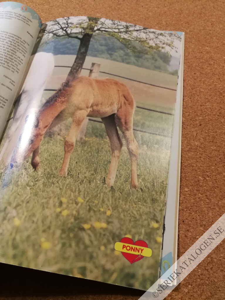 Bild (1993)