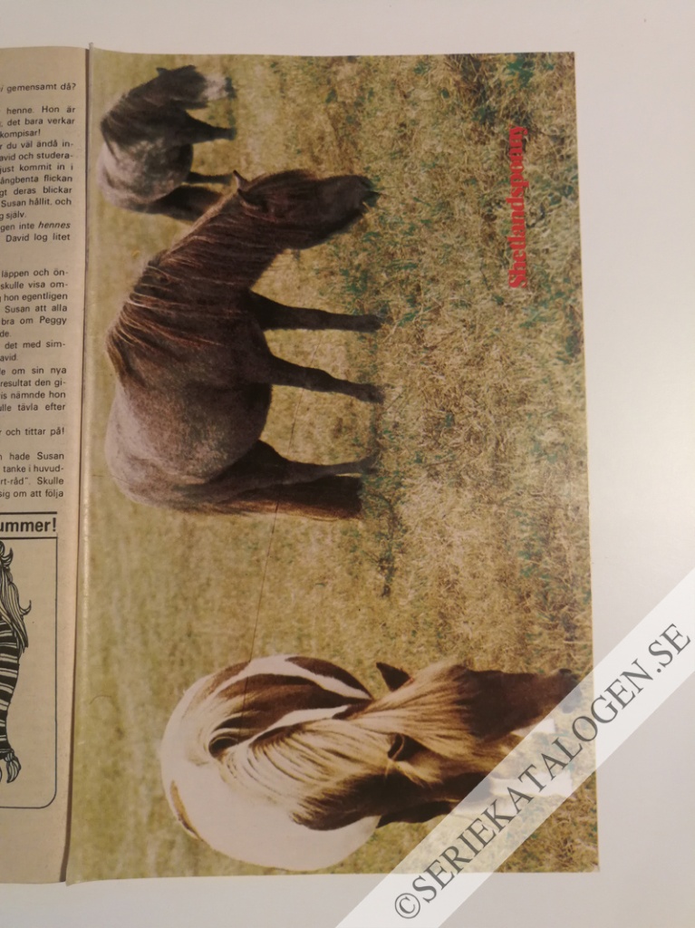 Bild (1974)