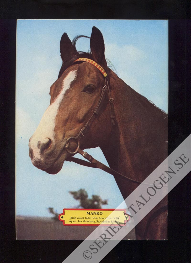 Baksida (1972)