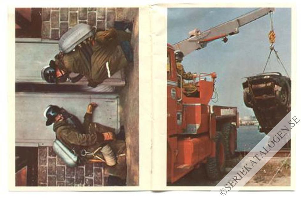 Bild (1963)