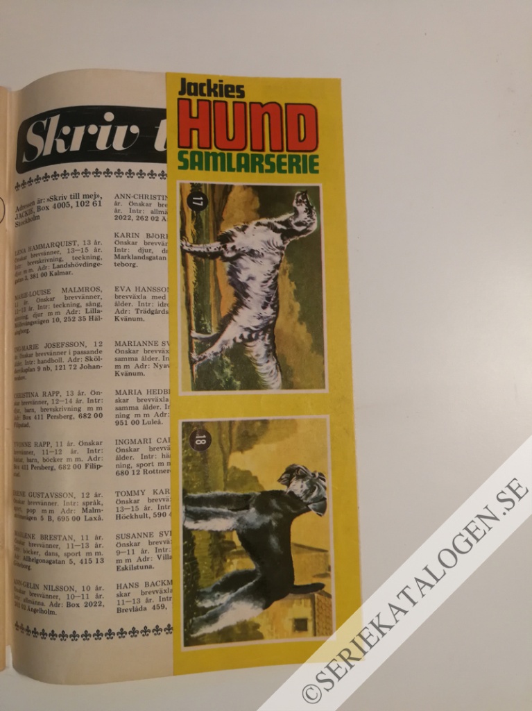 Bild (1971)