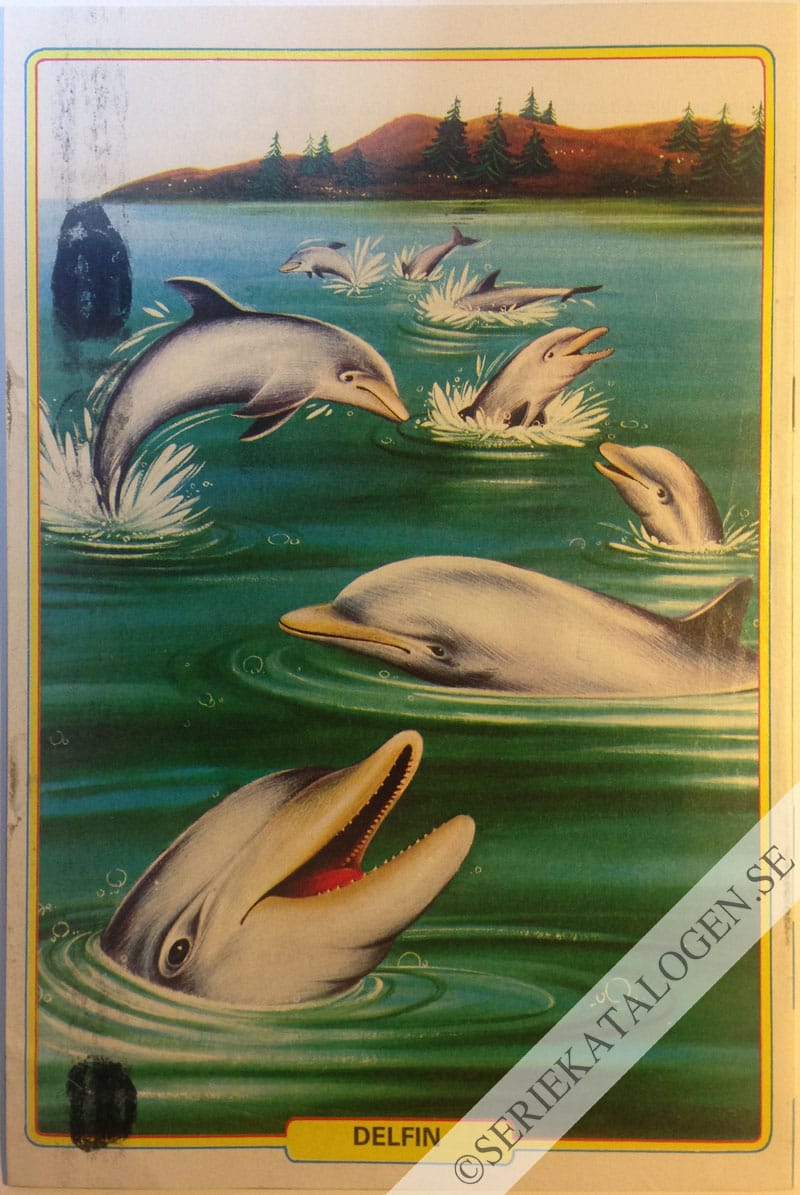 Baksida (1981)
