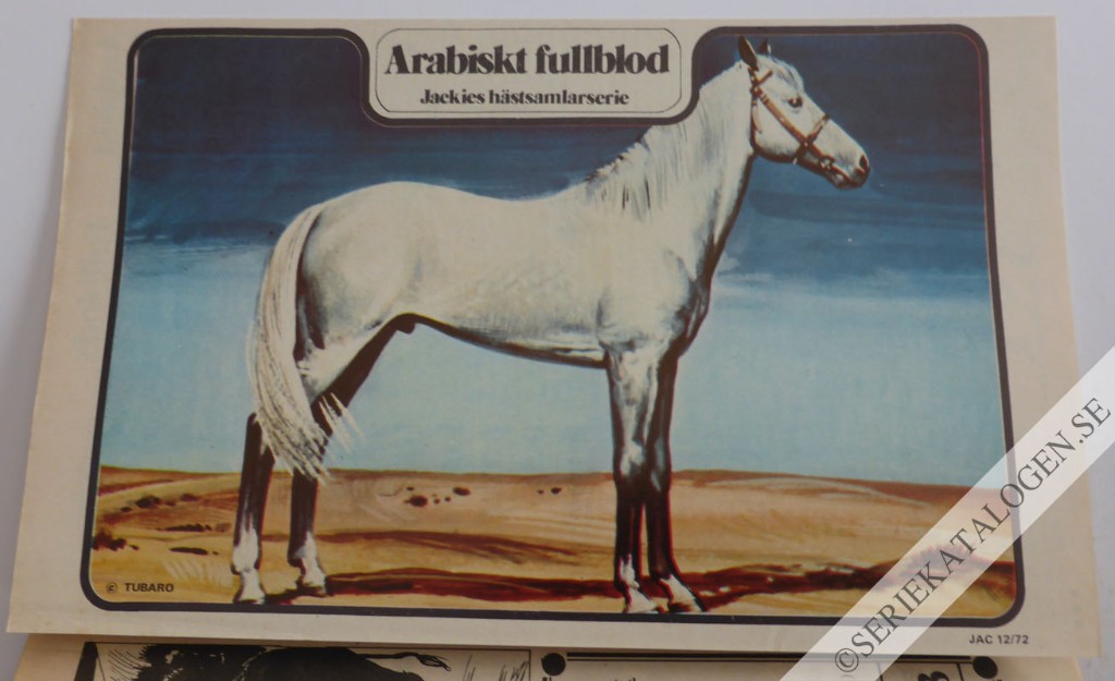 Bild (1972)