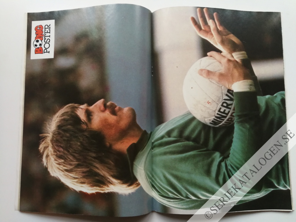 Bild (1984)