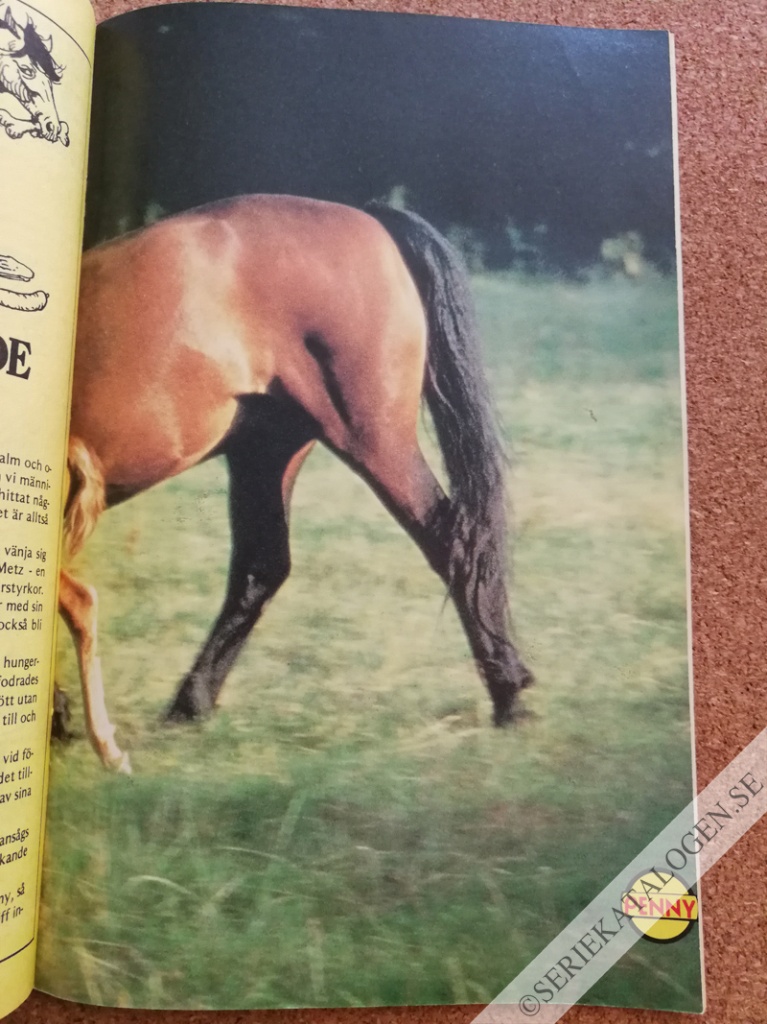 Bild (1988)