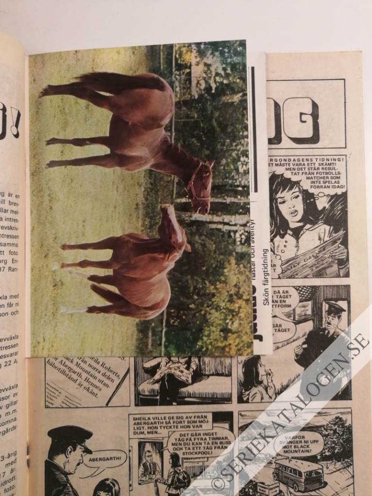 Bild (1974)
