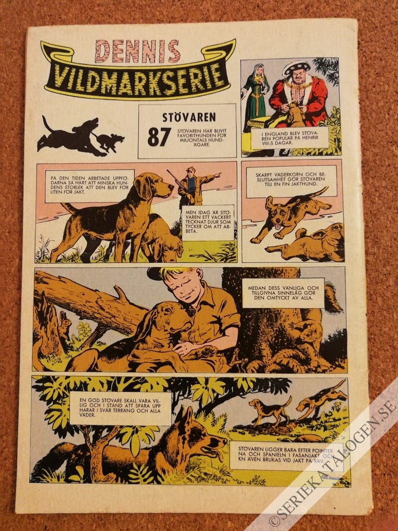 Baksida (1962)