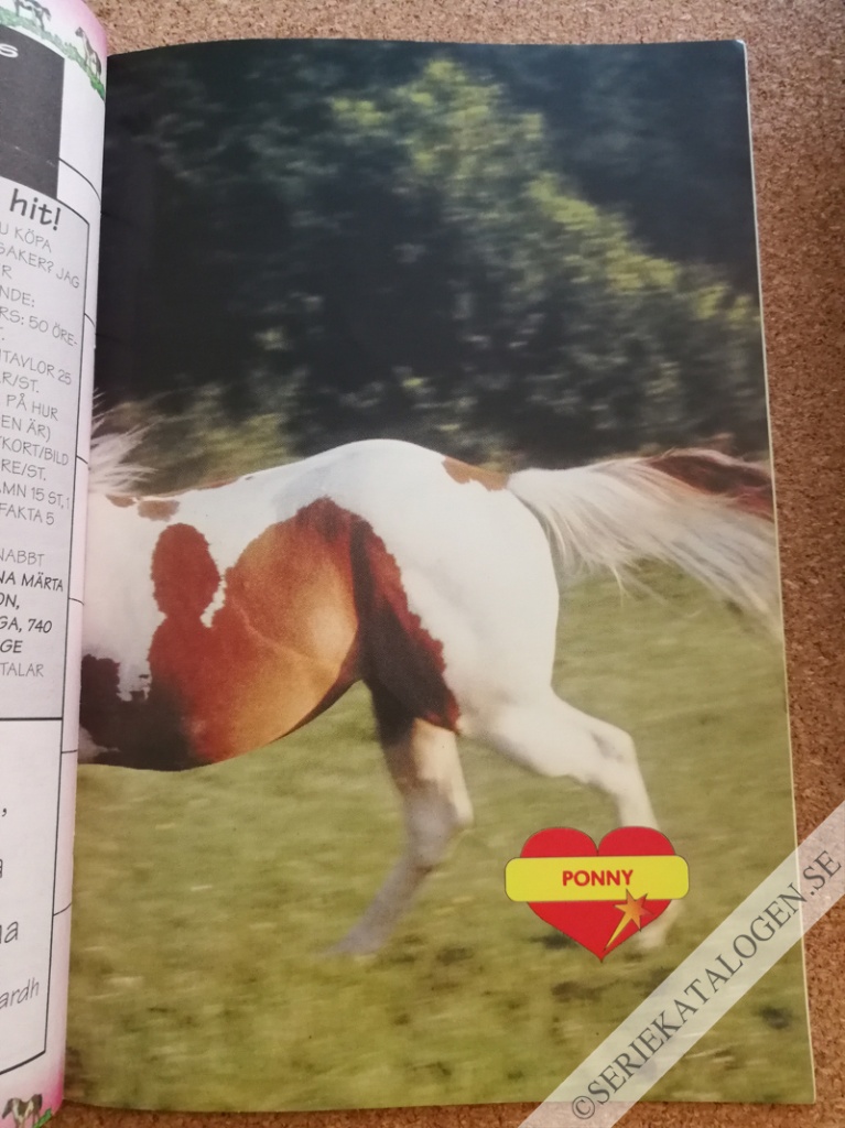 Bild (1996)