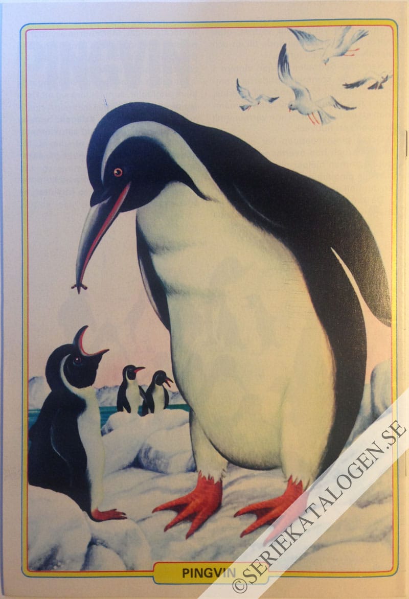Baksida (1981)