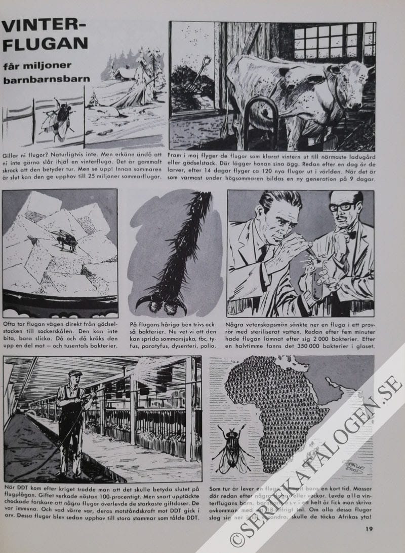 Exempel (1966)