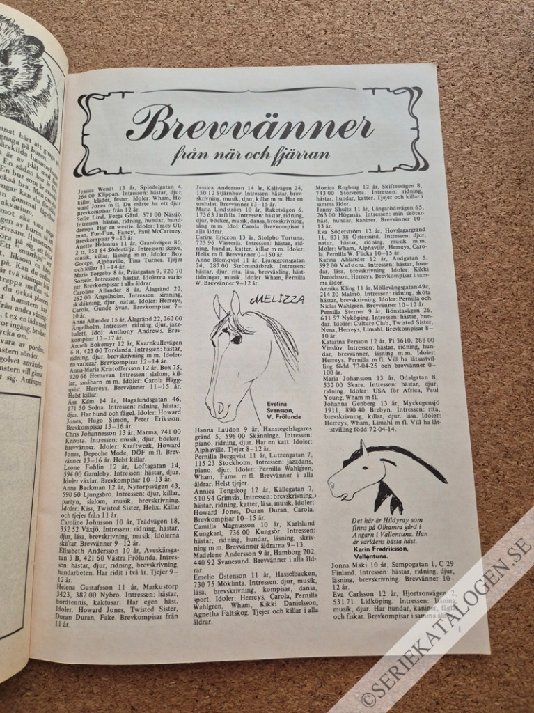 Bild (1985)