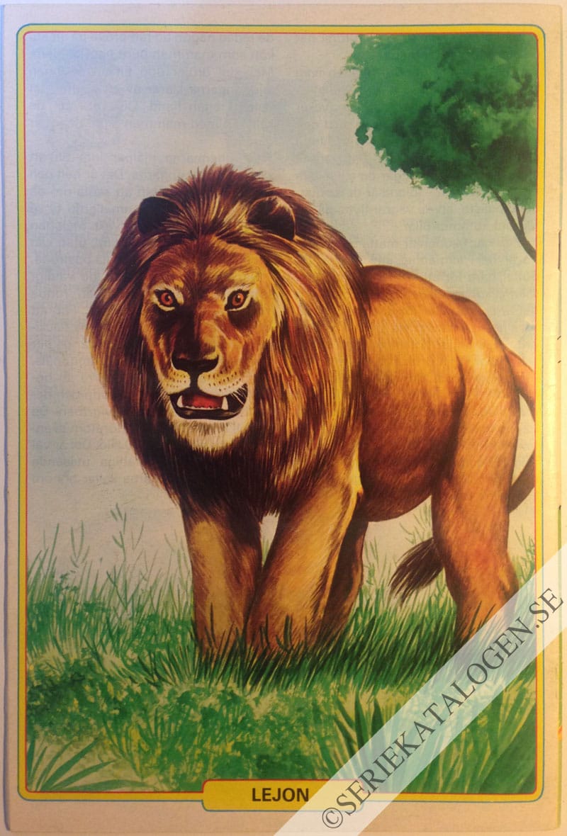 Baksida (1983)