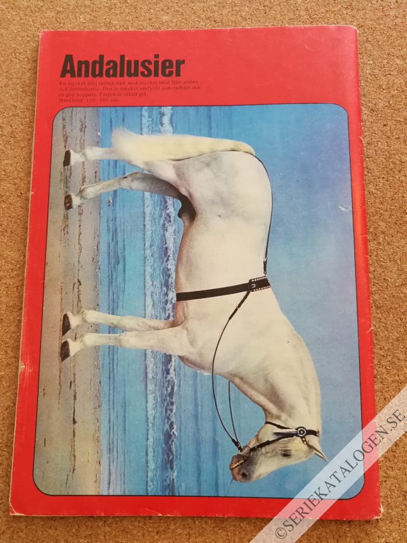 Baksida (1984)