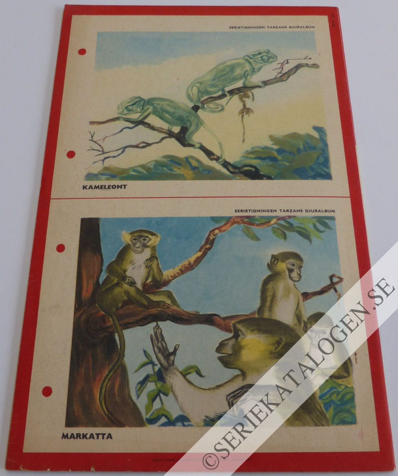 Baksida (1953)
