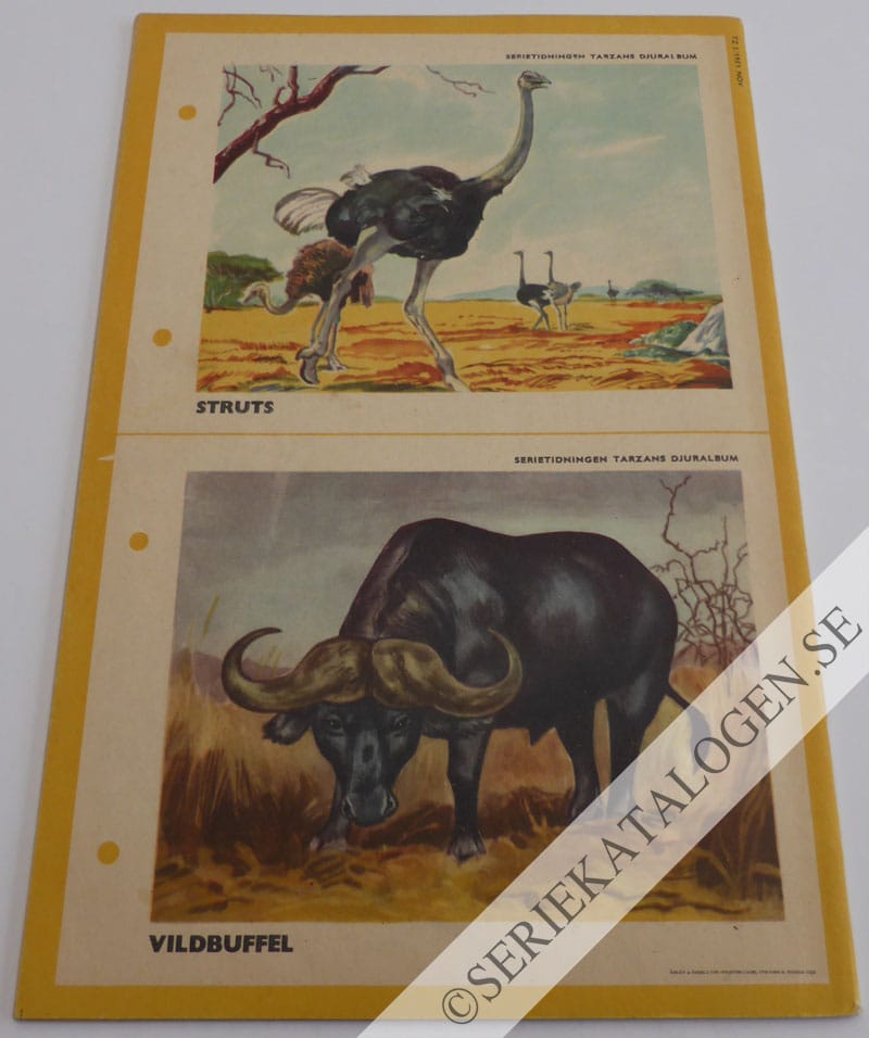 Baksida (1951)