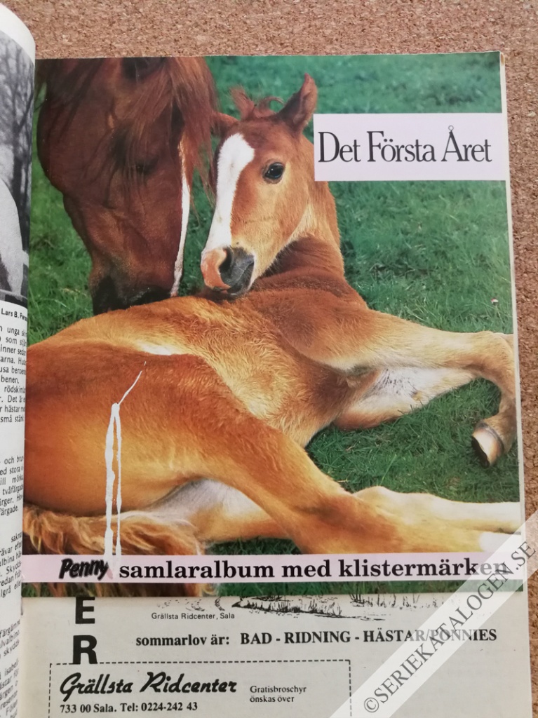 Bild (1988)