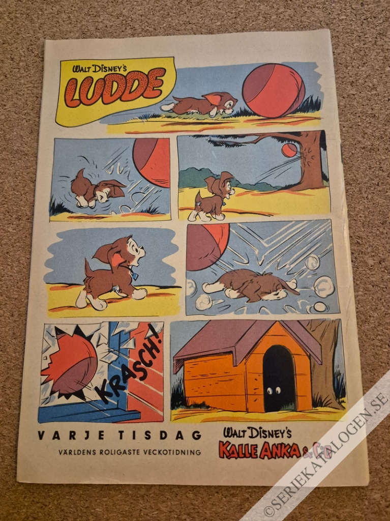 Baksida (1960)