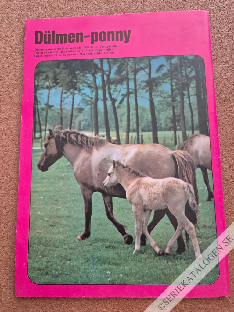 Baksida (1984)