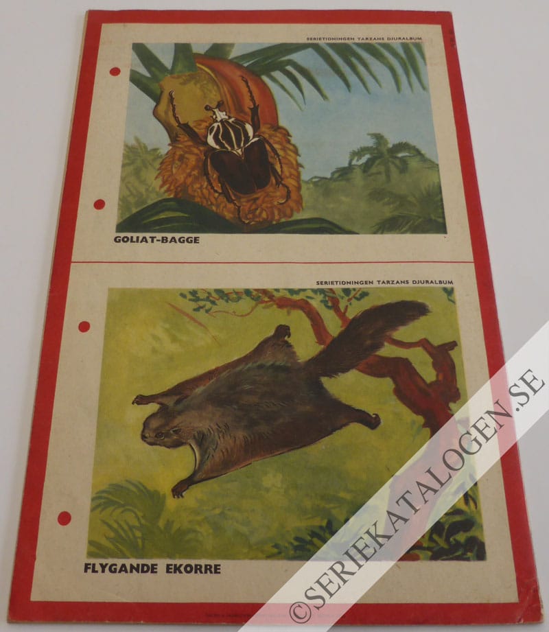 Baksida (1953)