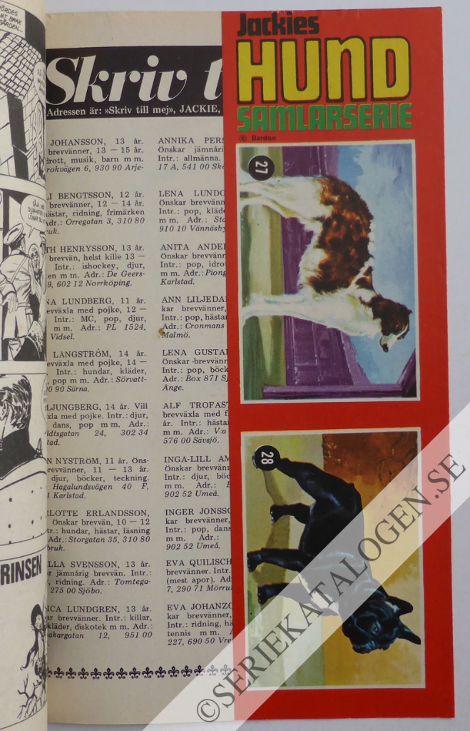 Bild (1971)
