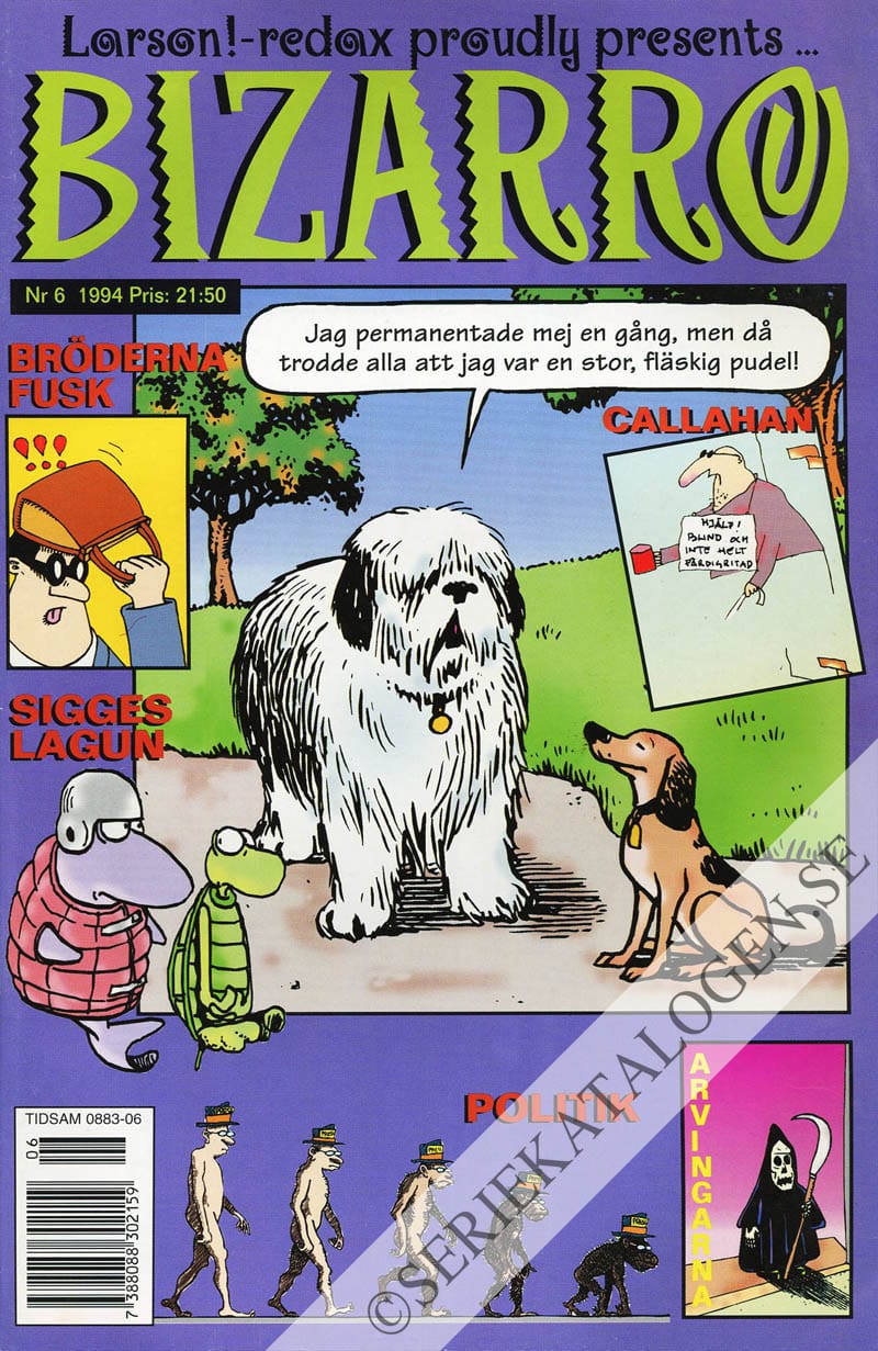 Framsida på Bizarro #6 (1994)