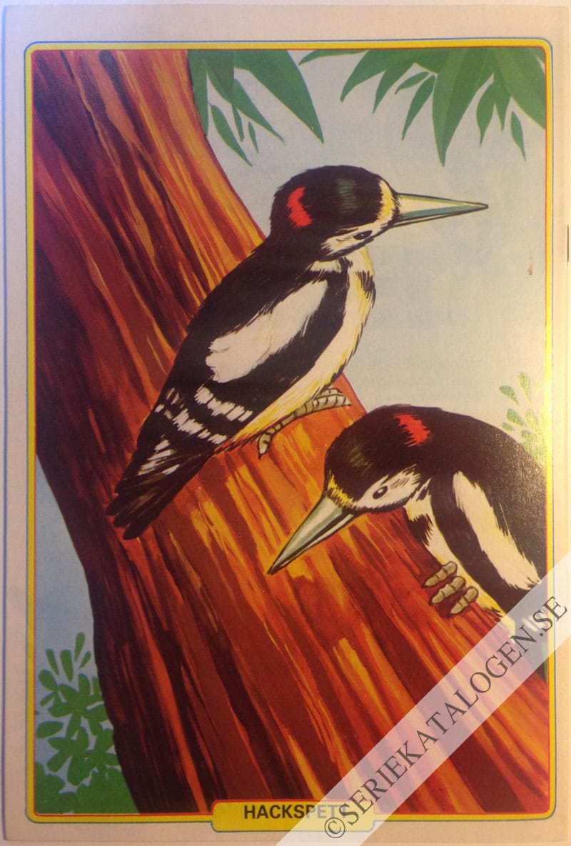 Baksida (1982)