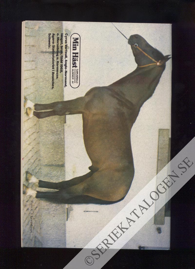 Baksida (1974)