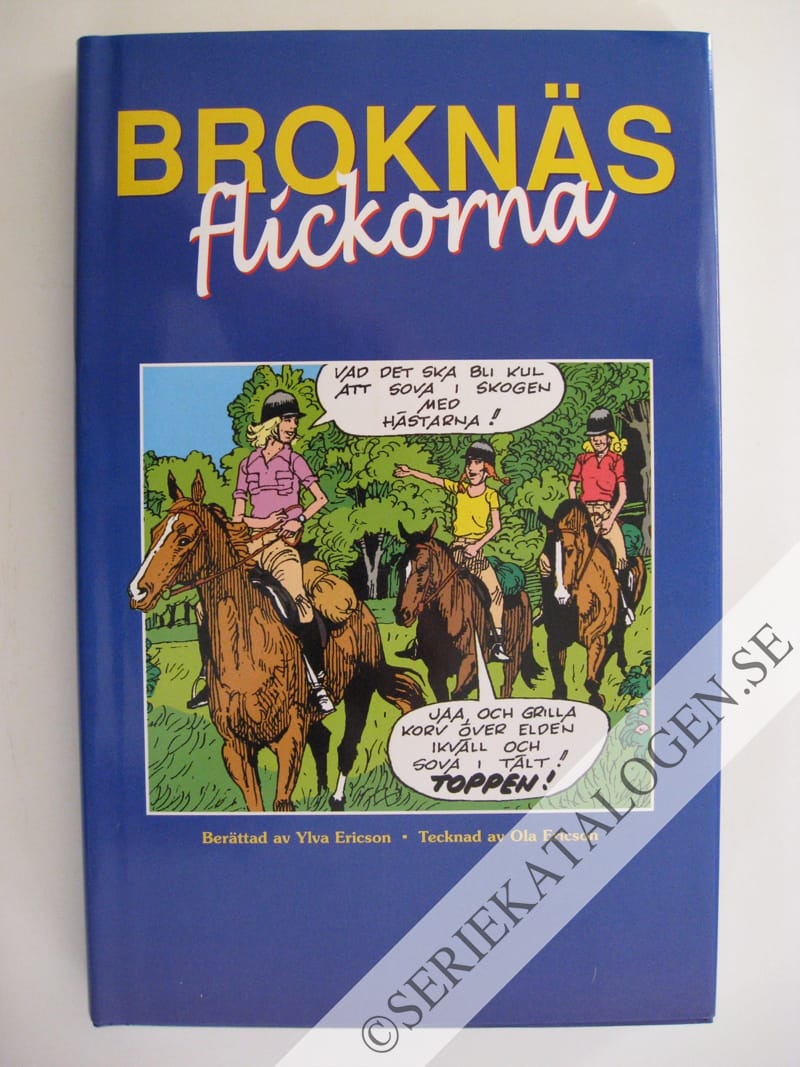 Framsida på Broknäsflickorna # (2003)