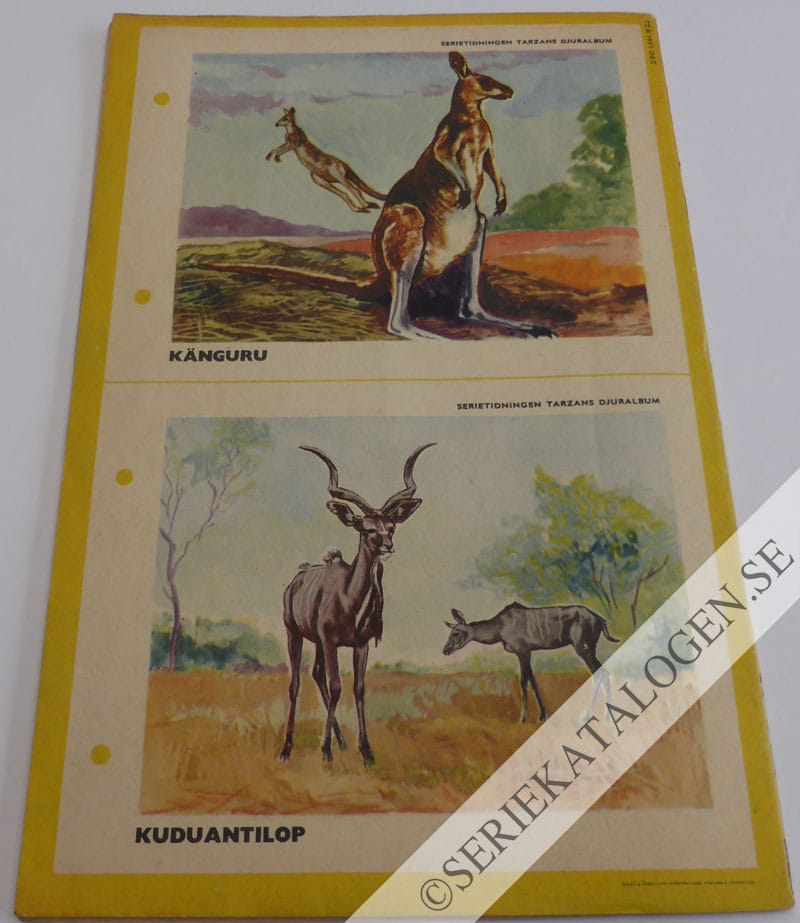 Baksida (1951)