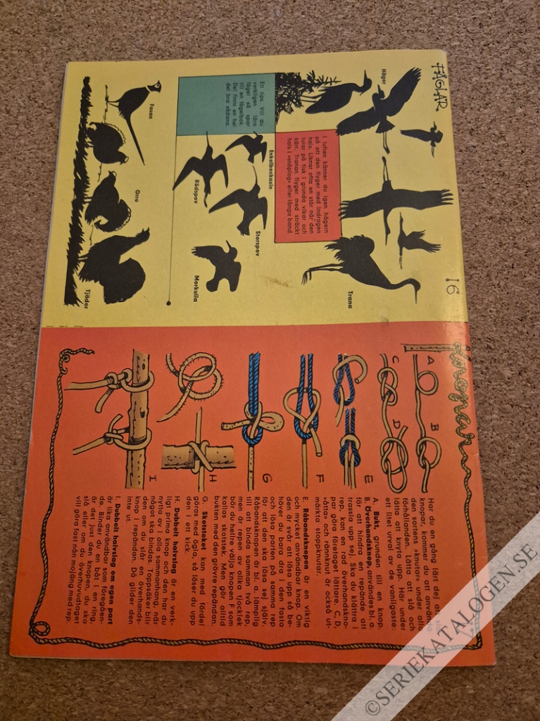Baksida (1963)