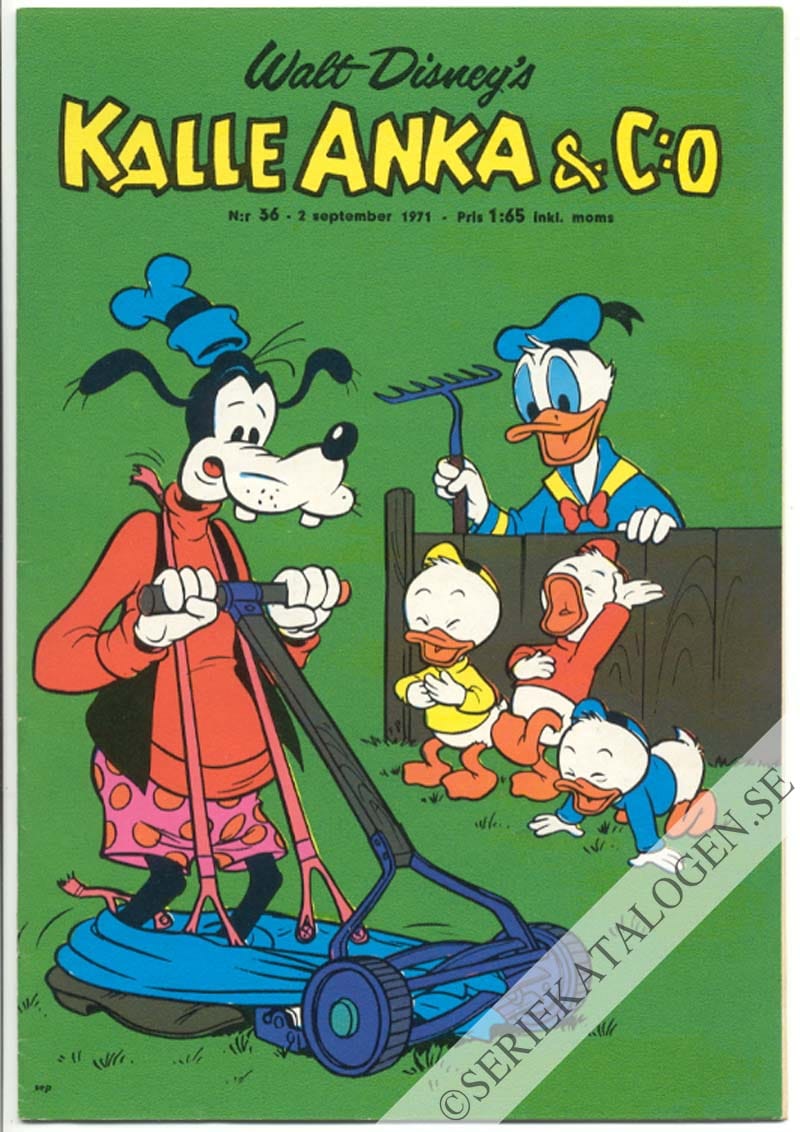 Framsida på Kalle Anka & C:o #36 (1971)