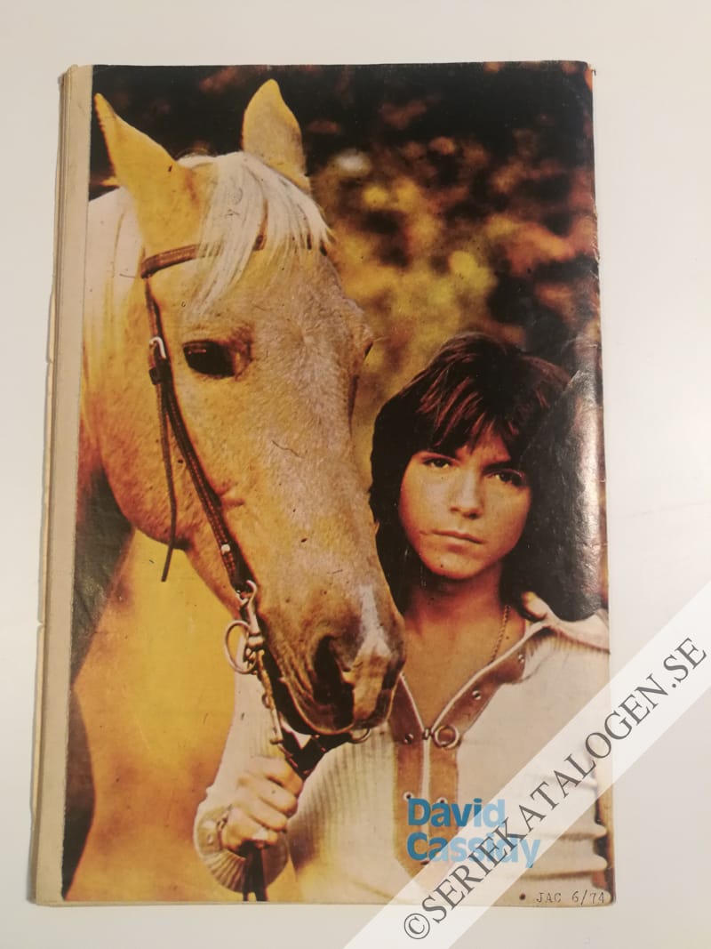 Baksida (1974)