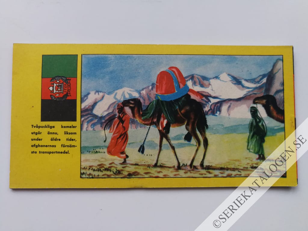 Baksida (1954)