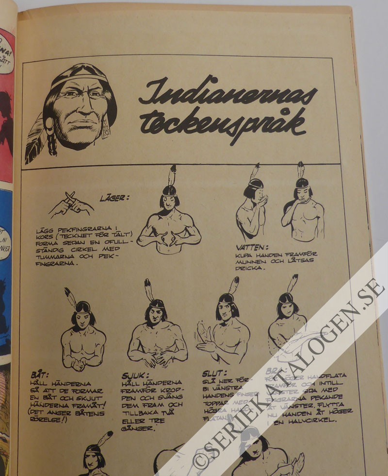 Bild (1954)