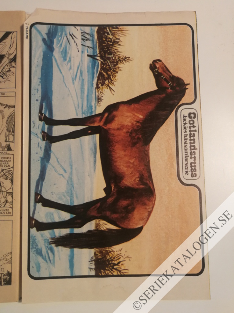 Bild (1973)